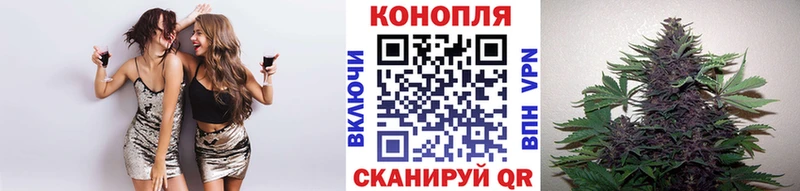 дарнет шоп  Дрезна  Шишки марихуана планчик 